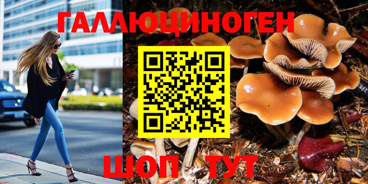 Элиста  Галлюциногенные грибы Psilocybe  Вход с VPN 